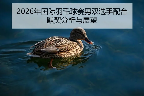 2026年国际羽毛球赛男双选手配合默契分析与展望