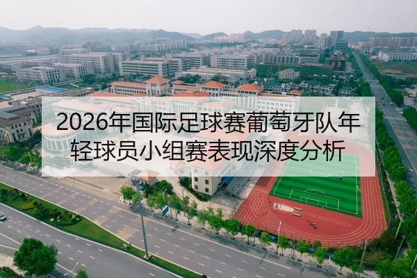 2026年国际足球赛葡萄牙队年轻球员小组赛表现深度分析