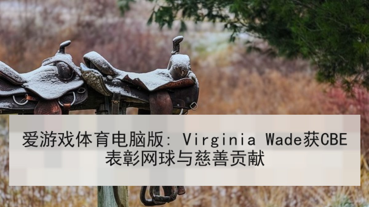 爱游戏体育电脑版: Virginia Wade获CBE表彰网球与慈善贡献