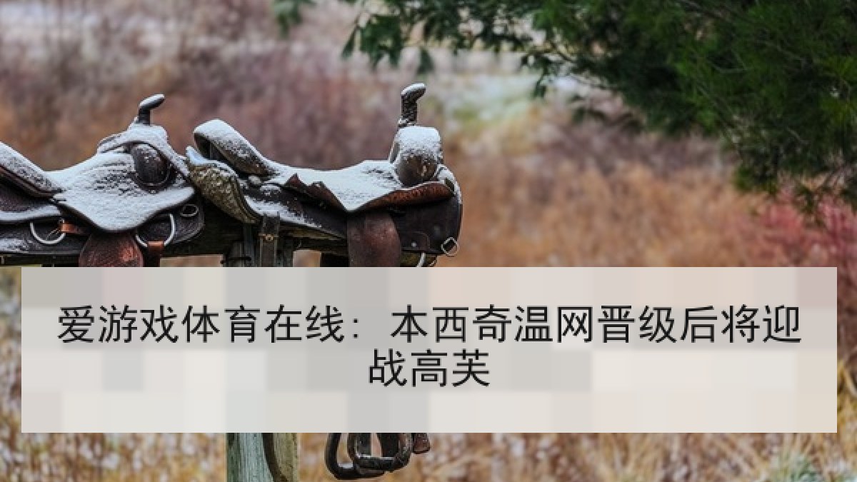 爱游戏体育在线: 本西奇温网晋级后将迎战高芙