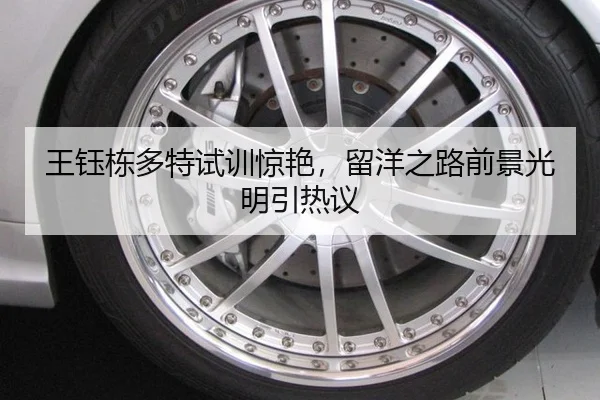 wang-yu-dong-duo-te-shi-xun-jing-yan-liu-yang-zhi-lu-qian-jing-guang-ming-yin-re-yi-3-959.jpg