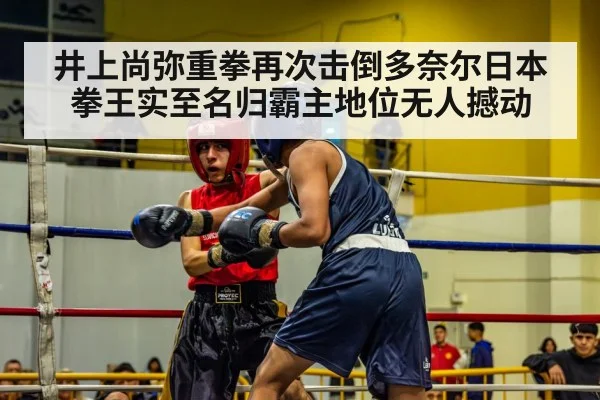 井上尚弥重拳再次击倒多奈尔日本拳王实至名归霸主地位无人撼动